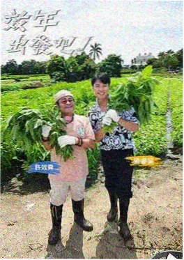 聚合影院户外挑战综艺越野三千里